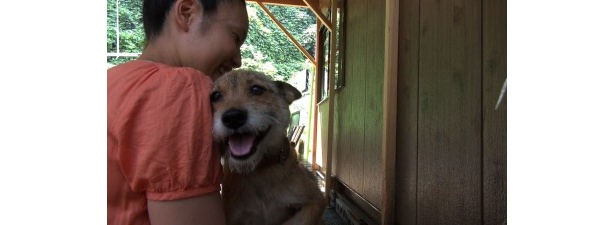 シーン写真