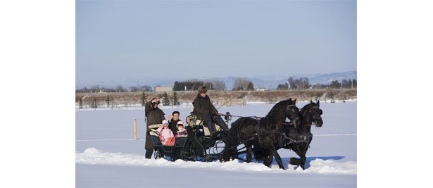 冬祭りのイベント「馬ソリ」