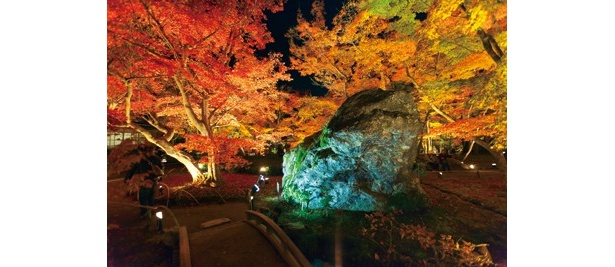 宝厳院では豊丸垣側から見る碧岩の紅葉がイチオシだ
