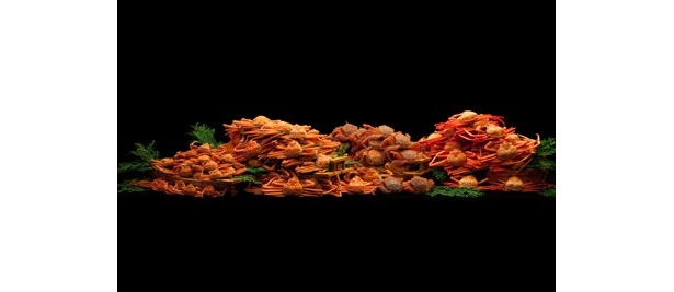 ズワイ蟹、毛箱蟹、毛蟹、紅ズワイ蟹などを用意