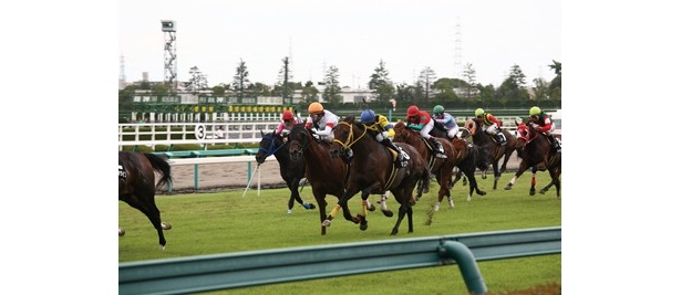 【写真】12月は阪神競馬場へ！ レース観戦はもちろん、友達や恋人、家族連れでも楽しめるイベントも開催