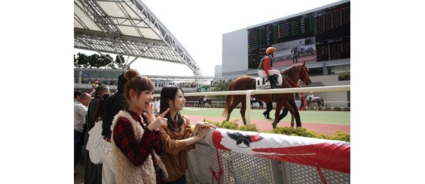 レース発走の約30分前に出走馬をお披露目するパドック。ここで気になる馬の様子、体格、汗などに注目しよう