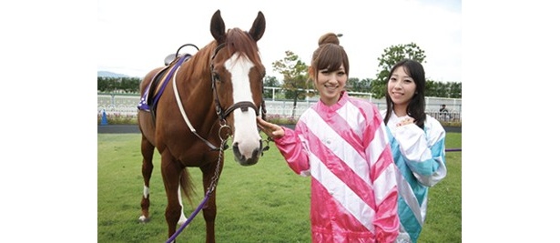 レースのほかに大型馬体験乗馬なども可能。馬は大きくてもおとなしいので触れることもできる