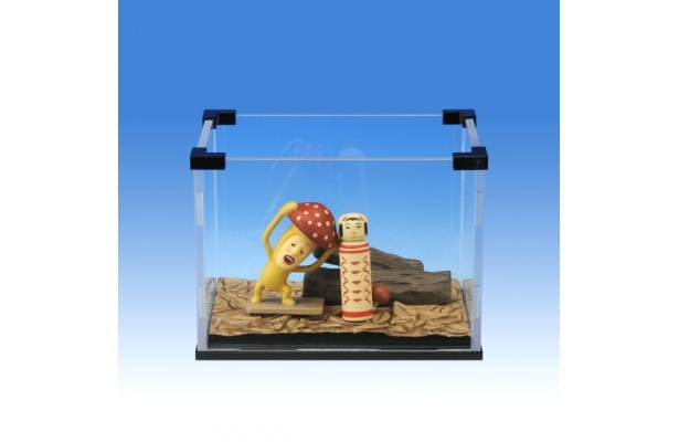「ベニキノコビト」が頭をこする動作を見られる!？