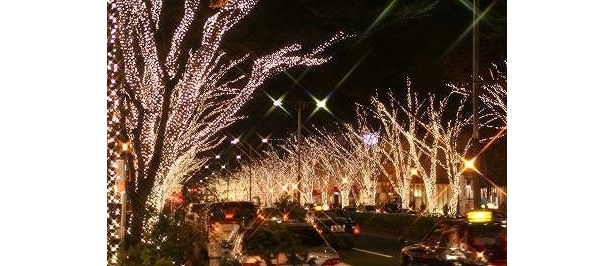 4位は表参道イルミネーション(東京都)