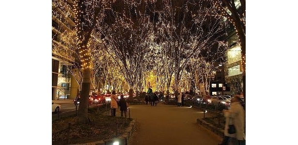 東北のTOPはSENDAI 光のページェント(宮城県)