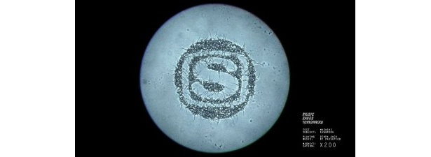 スペシャ、音楽に合わせ“本物の精子”が躍る映像を公開