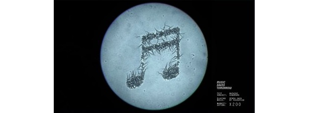 【写真】リアリティーを追求！こんな感じで精子が躍動