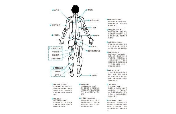 「きょうのストレッチ」覚えておきたい筋肉マップ