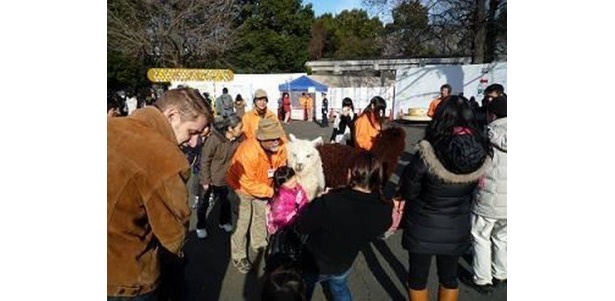 園長と動物たちが広場でお出迎え