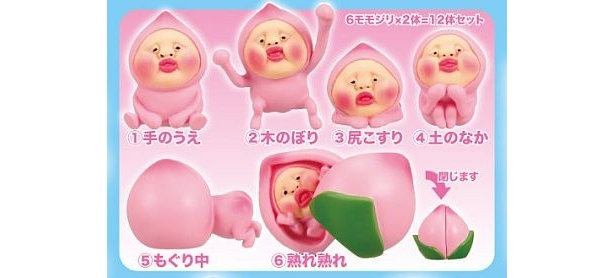 6モモジリ×各2体＝全12体セット