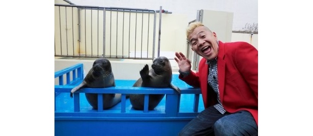 世界一(？)癒される水族館「加茂水族館」