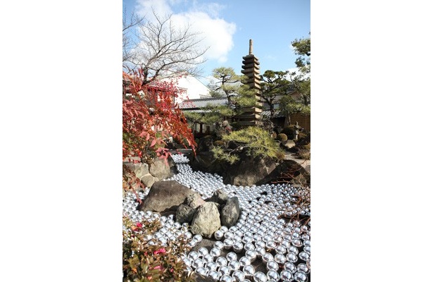 ココだけの新作も！日本建築と草間彌生の作品がコラボした展覧会が4/7（土）まで開催