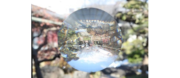 窓ガラスの水玉模様を除きこむと、反転された外の景観が映し出される