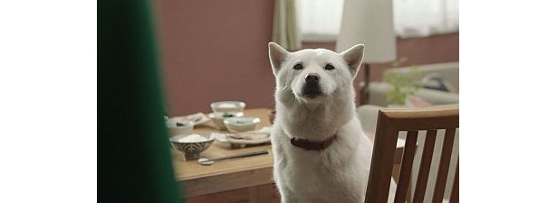 「留学生のタダ」