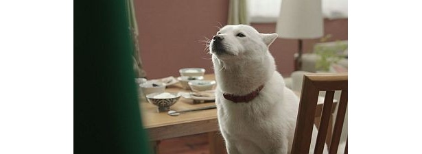 「ハワイのどのへん？」