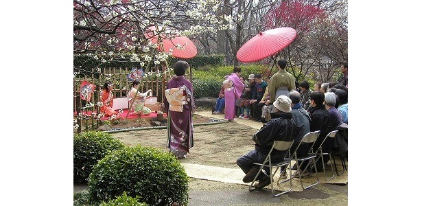 【写真】羽根木公園(世田谷区)の梅まつりの様子※写真は過去のものです