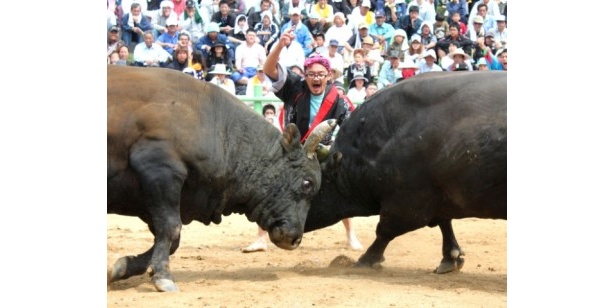 闘牛、エイサー、組踊…“沖縄文化”がコラボした一大イベント開催