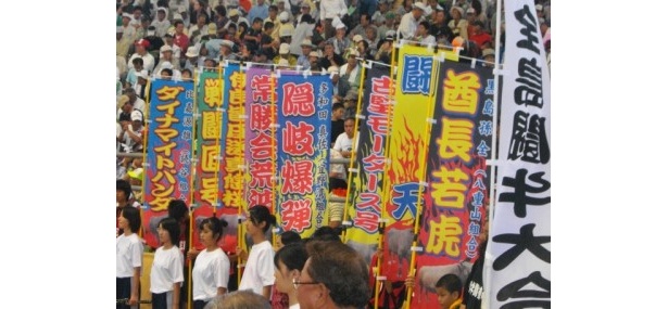 闘牛たちには名前がついています