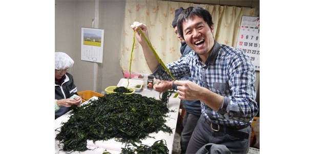 「芝原水産」にて、鳴門わかめの芯取り体験！