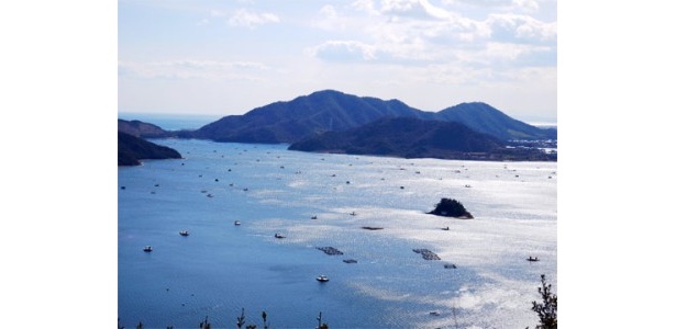 鳴門スカイラインからはうちの海の絶景が一望！