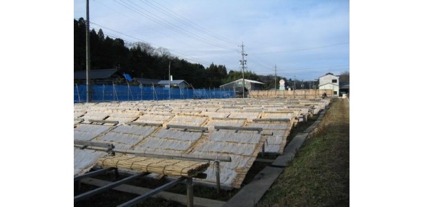 山岡町の名物細寒天の天日干し