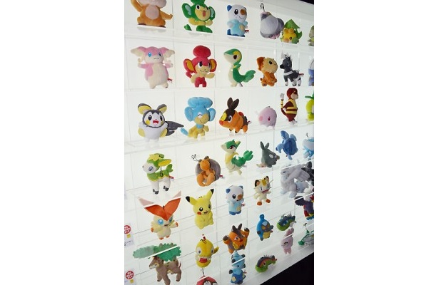 大量に並べられたポケモンたちのぬいぐるみ