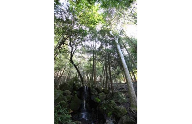 みかげの滝