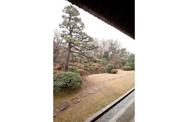 大正時代に作庭された庭園も