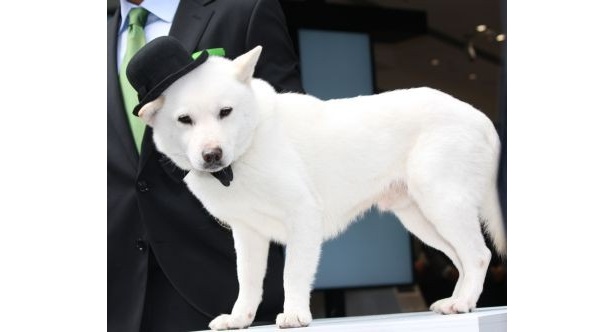お父さんは少々、街の賑わいに驚いている様子
