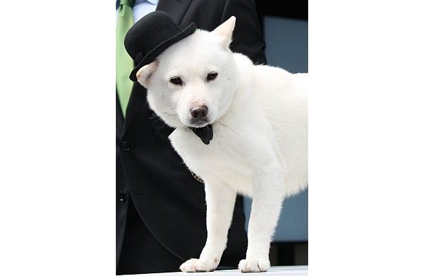 お父さんにもカメラのフラッシュが集中した