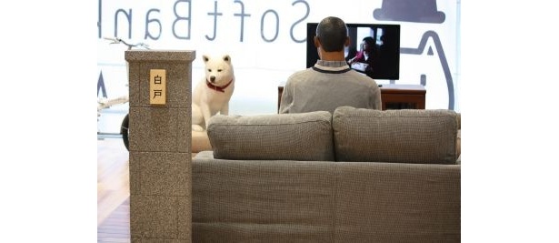 ショップの一角