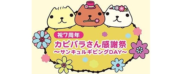 やさしい毛色がチャームポイントの「ひだまりさん」にも注目
