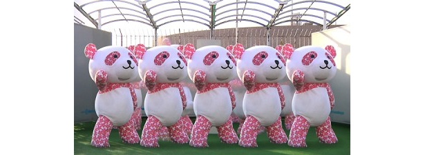 5体に分身したさくらパンダたち