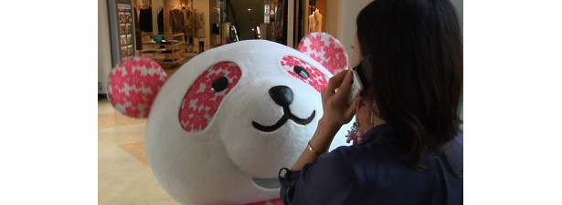 さくらパンダの意外な一面も明らかに!?