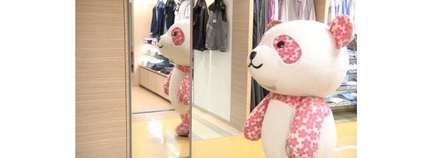 散歩の途中で鏡を発見
