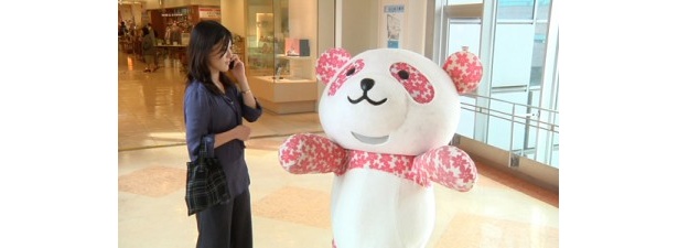 意気揚々と話しかけるさくらパンダ