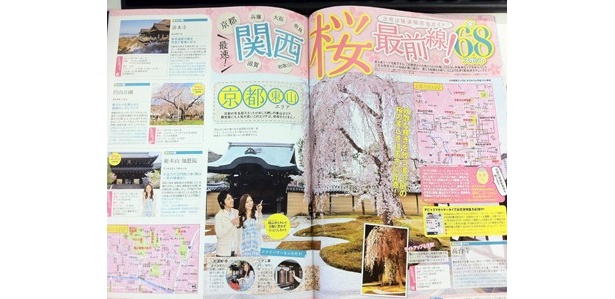 【関西ウォーカー最新号は3/13(火)発売】 京阪神を中心とした関西全68スポットの桜情報をお届け！ 