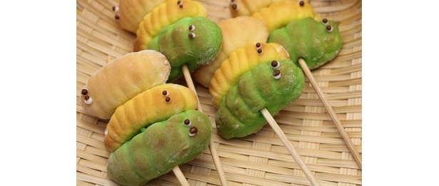 【写真】カブトムシ、幼虫、はちのこなどグロさ満点のお菓子を全部見る