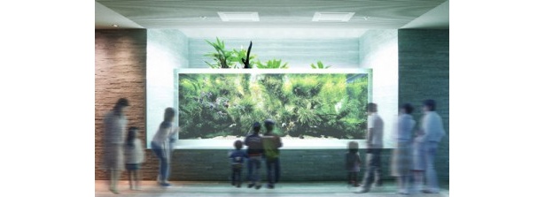 「すみだ水族館」内に設けられた「水のきらめき 自然水景」