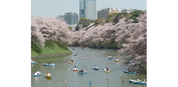 【写真】2位の千鳥ヶ淵緑道は皇居のお濠沿いに約700m続く緑豊かな遊歩道