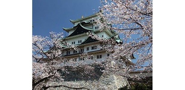 10位の名古屋城にはソメイヨシノ、枝垂れ桜を中心に約10種類1600本の桜がある