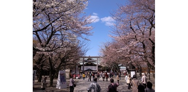 上野恩賜公園や千鳥ヶ淵など都内で開催の桜まつりを満喫