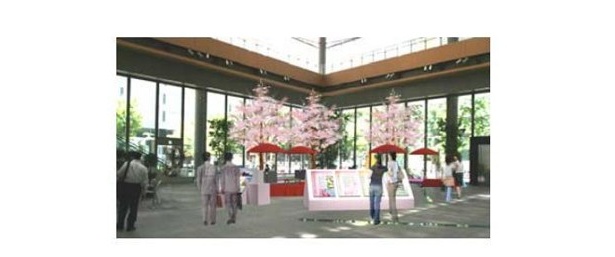 丸ビル1Fマルキューブでは高さ5mにも及ぶ桜の生木3本が展示される※イメージ