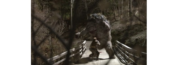 衝撃映像の数々に「これは本当なんですよね!?」という声も多いという