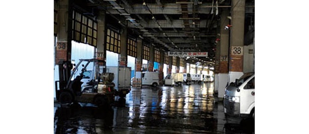 知っておきたい「築地市場の歩き方」