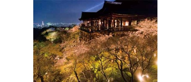 【関西ウォーカー最新号は3/27（火）発売】京都・東山など関西6大“桜”名所を完全ガイド！