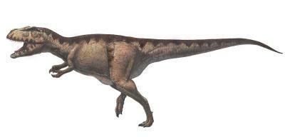 ＜画像1 / 11＞世界初公開！ティラノサウルス級の肉食恐竜が「大恐竜展」で大暴れ!?
