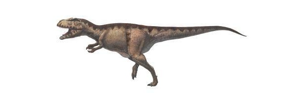 マプサウルスのイメージ図。最大級の肉食恐竜だ
