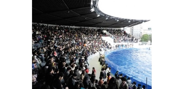 関西で大ブレイクの新名所 “京都水族館”の(秘)攻略法